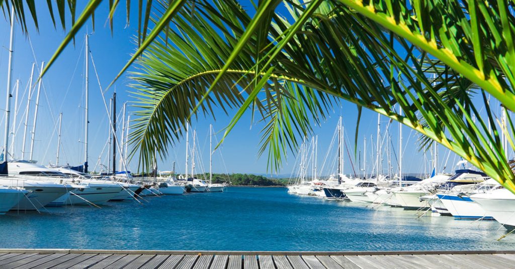 Fort Lauderdale Marina with palms