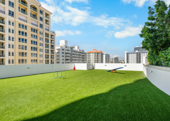 selene Dog Park Thumbnail